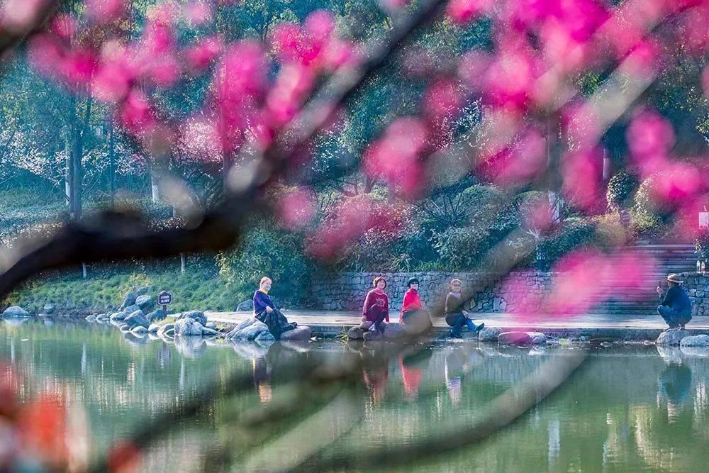 韭菜丸子怎么炸才脆绿?- 专业问答网站